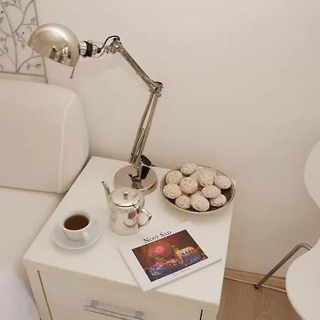 Lägenhet Spacious Liman Novi Sad